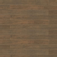 Barrique 4" x 40" x 3/8" Floor and Wall Tile in Brun