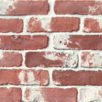 Avondale 2" x 8" Floor and Wall Tile in Used Red