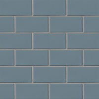 Costa Allegra 3" x 6" x 5/16" Floor and Wall Tile in Adriatic