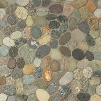 Hemisphere Floor and Wall Mosaic in Riverbed
