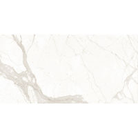 Magnifica Calcatta Super White Porcelain in 1/2"