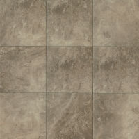 Stonefire 12" x 12" x 3/8" Floor and Wall Tile in Grey