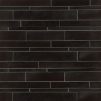 Absolute Black Wall Mosaic