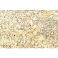 New Venetian Gold Granite in 3 cm