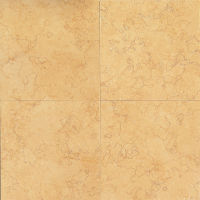 Ambre 24" x 24" x 5/8" Floor and Wall Tile