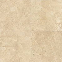 Camargo Venezia 24" x 24" x 3/8" Floor and Wall Tile