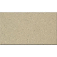 Metropolitan 4" x 8" x 1/2" Floor and Wall Tile in Oyster Bay