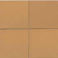 Metropolitan 8" x 8" x 1/2" Floor and Wall Tile in Aztec