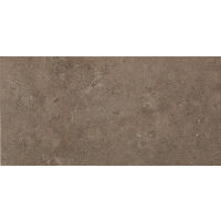Tribal 12" x 24" x 5/16" Floor and Wall Tile in Greenwich