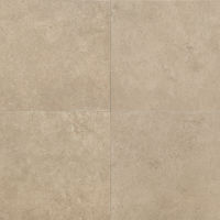 Tribal 24" x 24" x 3/8" Floor and Wall Tile in Hudson