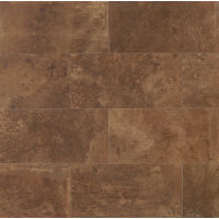 Blende 24" x 48" x 3/8" Floor and Wall Tile in Titian