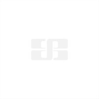 Cesare Magnus 3" x 12" x 3/8" Trim in Light Splendor