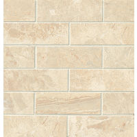 Classic 2" x 6" Floor and Wall Mosaic in Cremino
