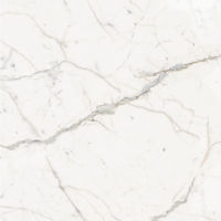 Plane 60" x 60" x 1/4" Floor and Wall Tile in Classico (Calacatta)
