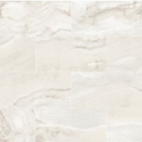 Plane 15" x 30" x 1/4" Floor and Wall Tile in Fantasy Bright