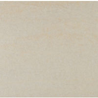 Quartzite 12" x 12" x 3/8" Floor and Wall Tile in Moon