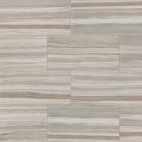 Zebrino 24" x 48" x 3/8" Floor and Wall Tile in Bluette