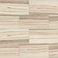 Zebrino 24" x 48" x 3/8" Floor and Wall Tile in Classico