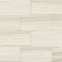 Zebrino 12" x 24" x 3/8" Floor and Wall Tile in Michelangelo