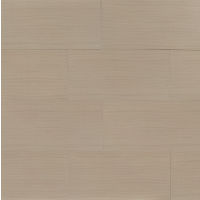 City Scene 12" x 24" x 3/8" Floor and Wall Tile in Taupe