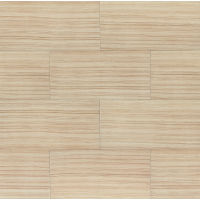 Infinity 12" x 24" x 3/8" Floor and Wall Tile in Asteroid