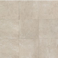 Marfil 20" x 20" x 5/16" Floor and Wall Tile in Silver