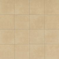 Metro Plus 12" x 12" x 3/8" Floor and Wall Tile in City Slicker