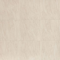 Yosemite 20" x 20" x 3/8" Floor and Wall Tile in Almond