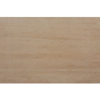 Palma Cream Travertine in 2 cm