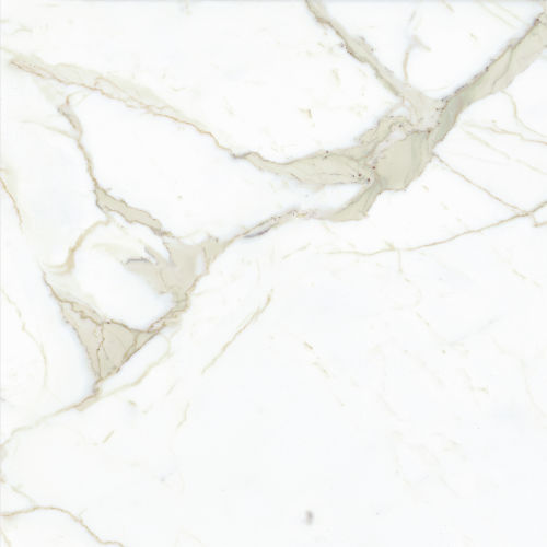 Magnifica 30" x 30" Floor & Wall Tile in Calacatta Super White