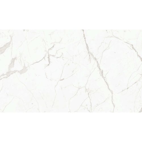 Magnifica Calacatta Super White Porcelain in 1/4"