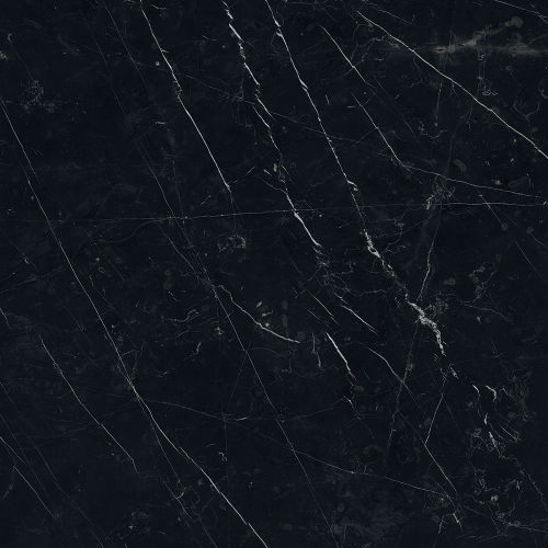 Magnifica 30" x 30" Floor & Wall Tile in Nero Marquina