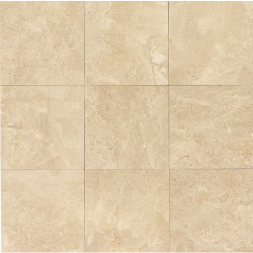 Camargo Venezia 12" x 12" Floor & Wall Tile
