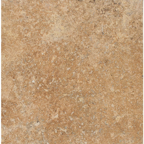 Cesare Magnus 12" x 12" Floor & Wall Tile in Auburn Blaze