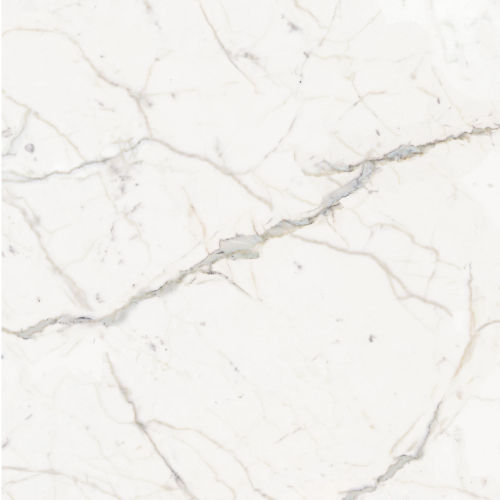 Plane 60" x 60" Floor & Wall Tile in Classico (Calacatta)