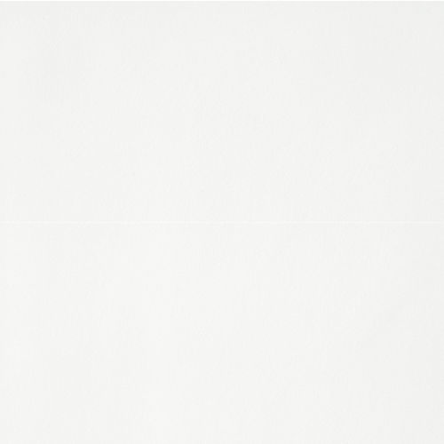 Plane 30" x 60" x 1/4" Floor and Wall Tile in True White Polished