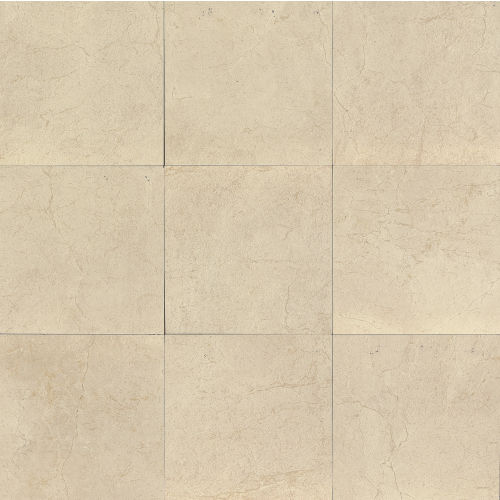 Marfil 20" x 20" x 5/16" Floor and Wall Tile in Bianco