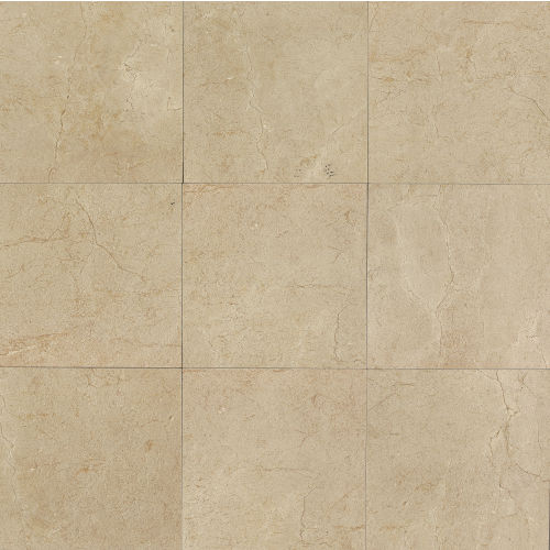 Marfil 24" x 24" x 3/8" Floor and Wall Tile in Crema