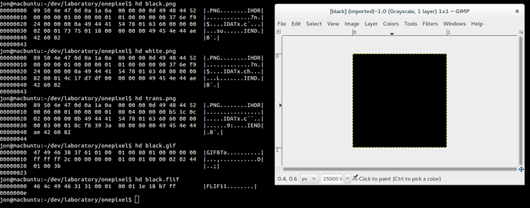 one_pixel_image_comparison_hexdhump.png