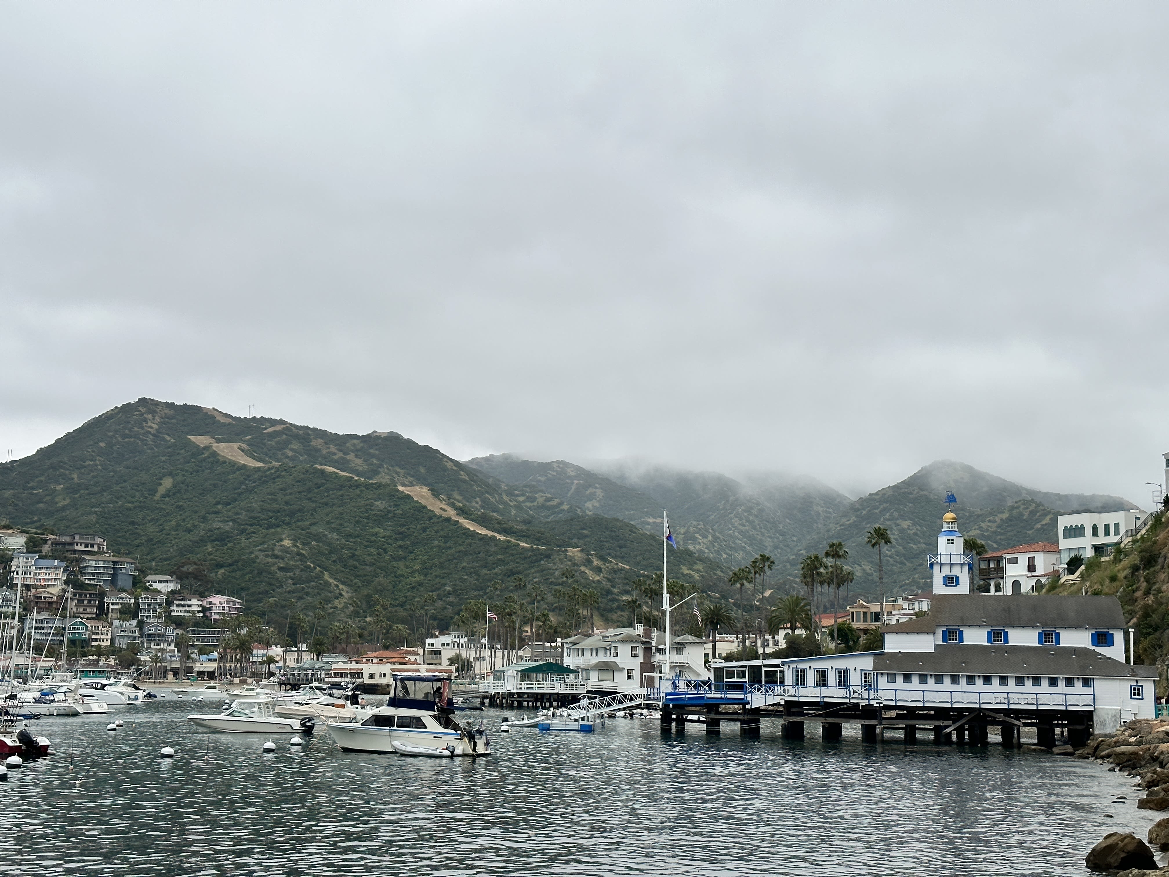 Overlooking the bay of Catalina Island, from ground level, with boats dotting the water and foggy mountains in the distance, an overcast gray sky.