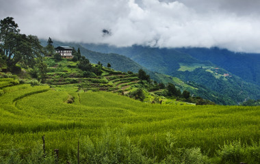 迷人的旅行 不丹Tours