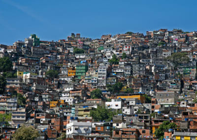 Favela xhxjy9 - Eugenol