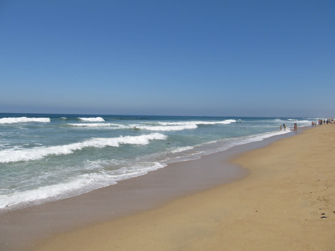 [NEEDS PHOTOS] Camping, Biking, and Craft Beer-ing in Southern California