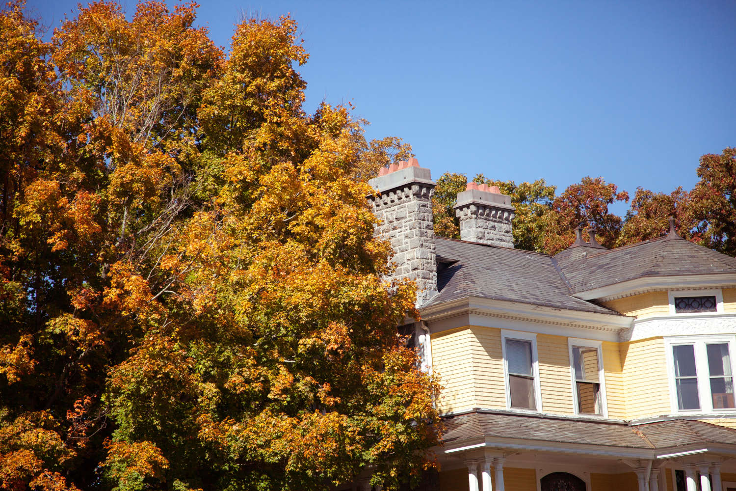 Montford Asheville, NC's Official Travel Site