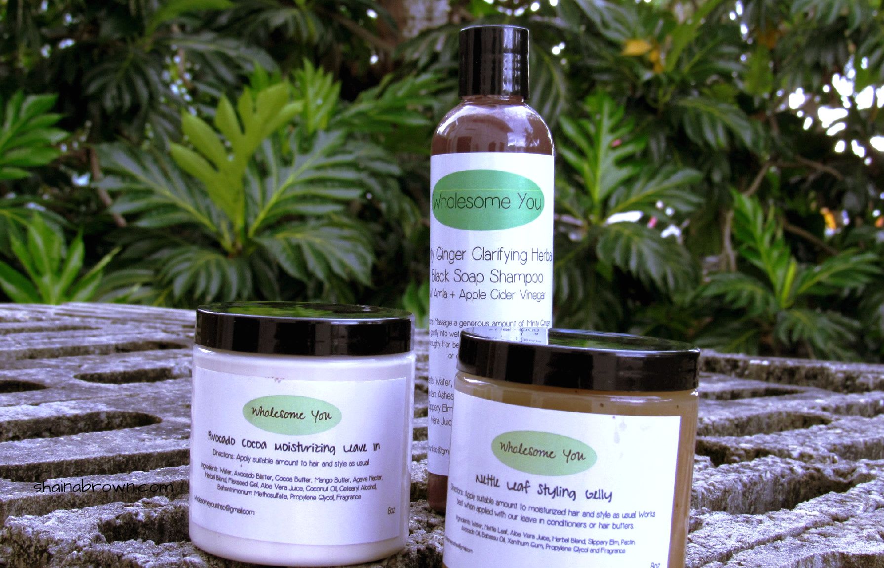 Wholesome You Hair Products - Review