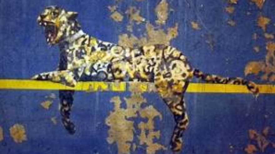 Artist Banksy Tags Wall Next To Yankee Stadium With Bronx Zoo