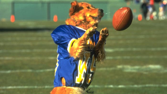 “Air Bud: Golden Receiver” (1998)