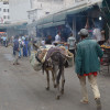 A student studying abroad with University of Minnesota: Fez - Arabic Language & Culture in Morocco