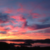 A student studying abroad with University of Otago: Dunedin - Direct Enrollment & Exchange