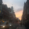 A student studying abroad with University College London (UCL): London - Direct Enrollment & Exchange